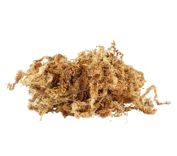 Musgo Sphagnum Natural Fibra Larga 5 Kg Premium para Orquídeas, Plantas Carnívoras y Jardinería