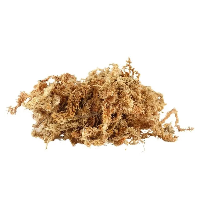 Musgo Sphagnum Natural Fibra Larga 5 Kg Premium para Orquídeas, Plantas Carnívoras y Jardinería