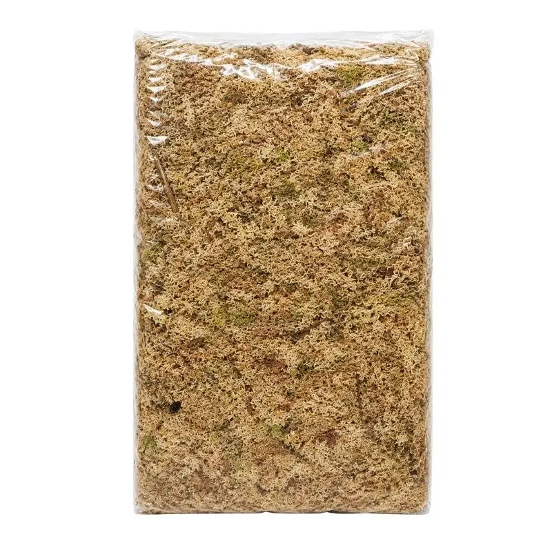 Musgo Sphagnum Natural Fibra Larga 5 Kg Premium para Orquídeas, Plantas Carnívoras y Jardinería