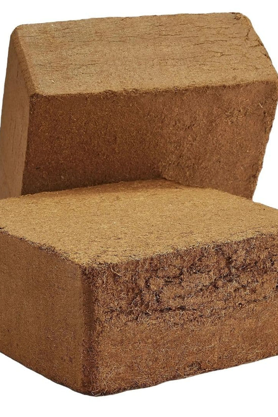 Fibra de Coco Prensada en Bloque 4.5 kg
